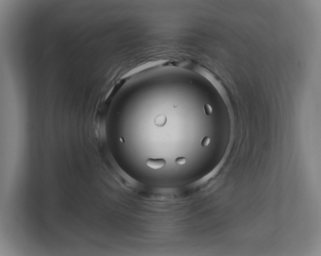 X0000110880384200906251253