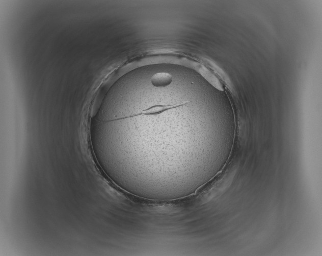 X0000110880385200906251253