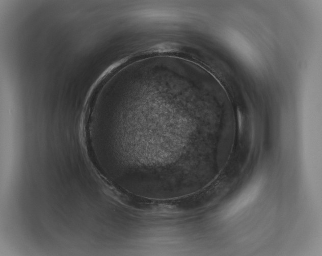 X0000110880387200906251253