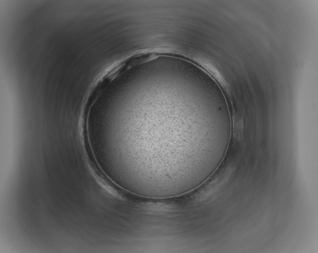 X0000110880389200906251253