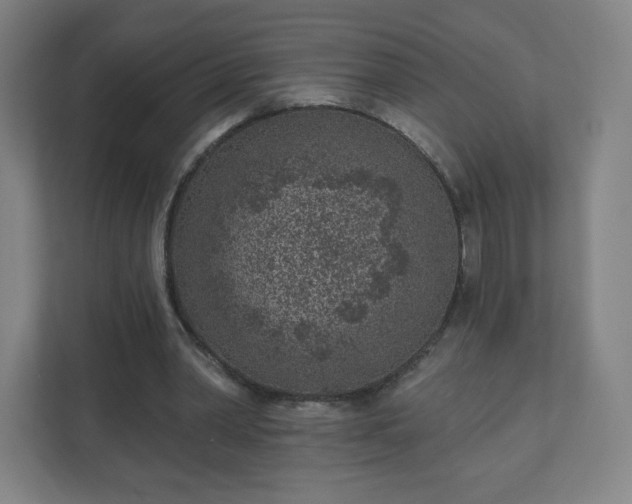 X0000110880390200906251253