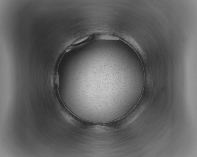 X0000110880393200906251253