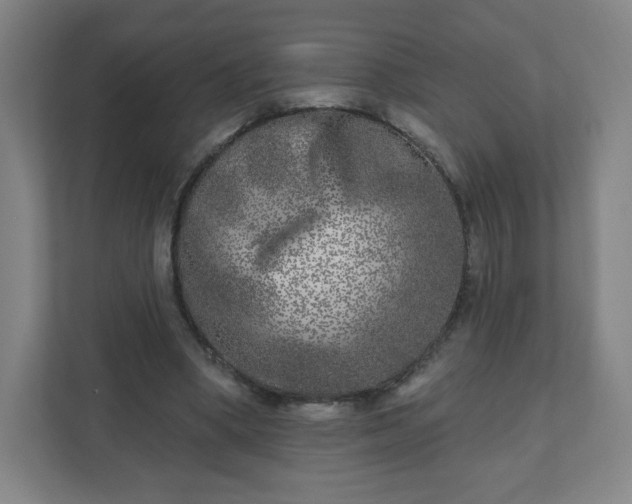 X0000110880394200906251253