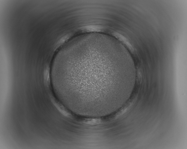 X0000110880398200906251253
