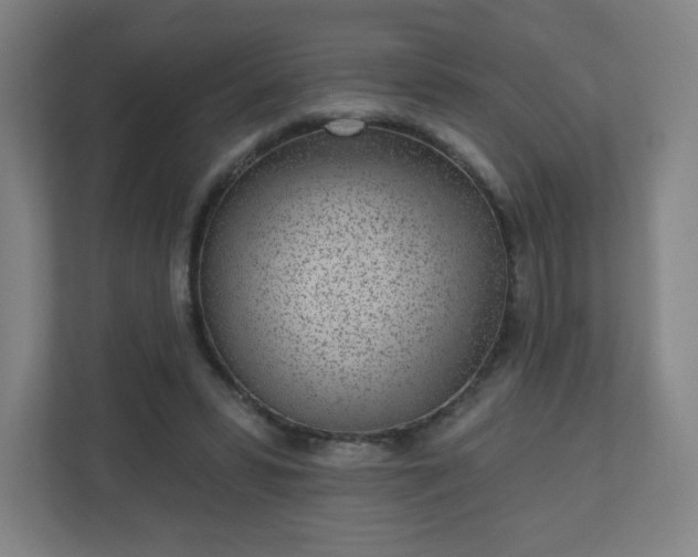 X0000110880399200906251253
