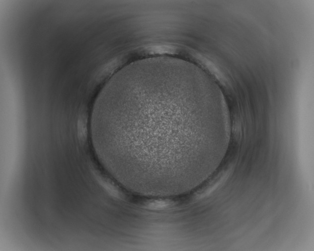 X0000110880402200906251253