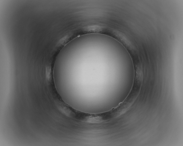 X0000110880403200906251253