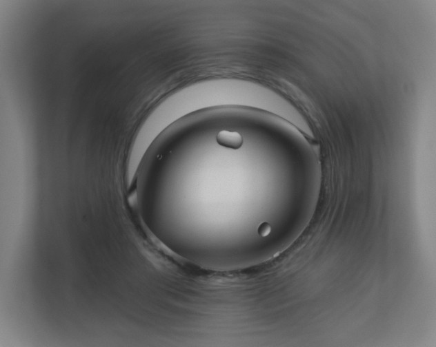 X0000110880405200906251253