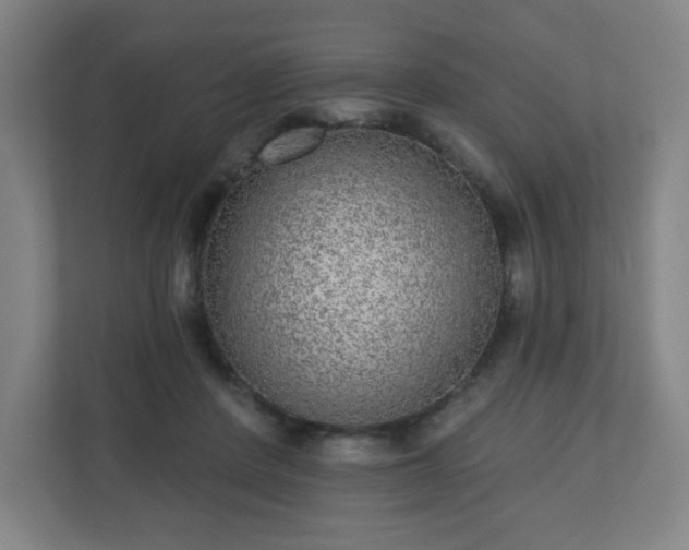 X0000110880408200906251253