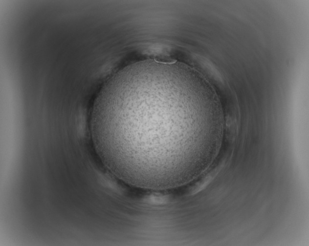 X0000110880416200906251252