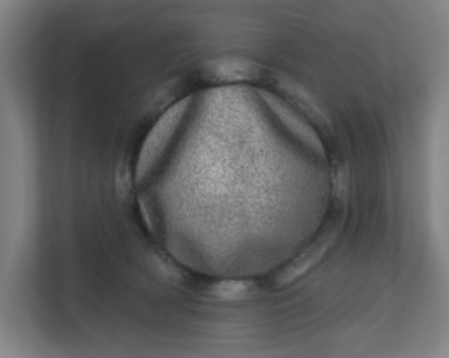 X0000110880418200906251252