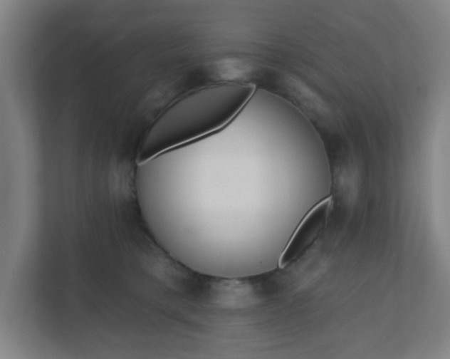 X0000110880421200906251252
