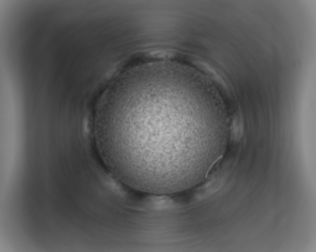 X0000110880424200906251252