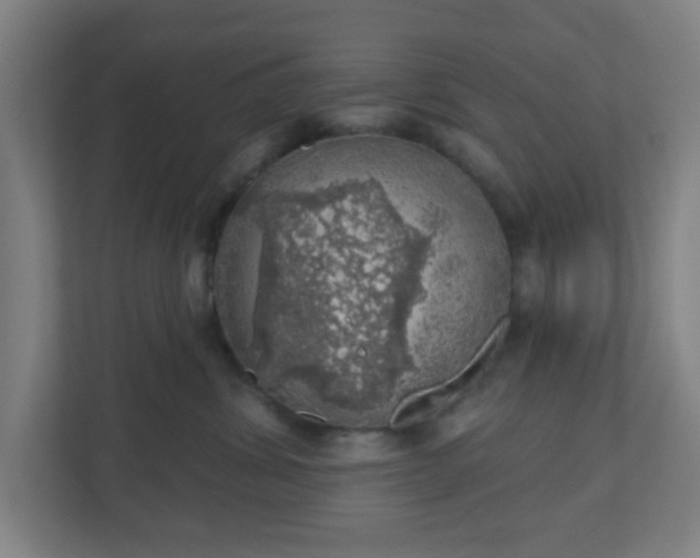 X0000110880428200906251252