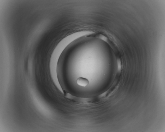 X0000110880429200906251252