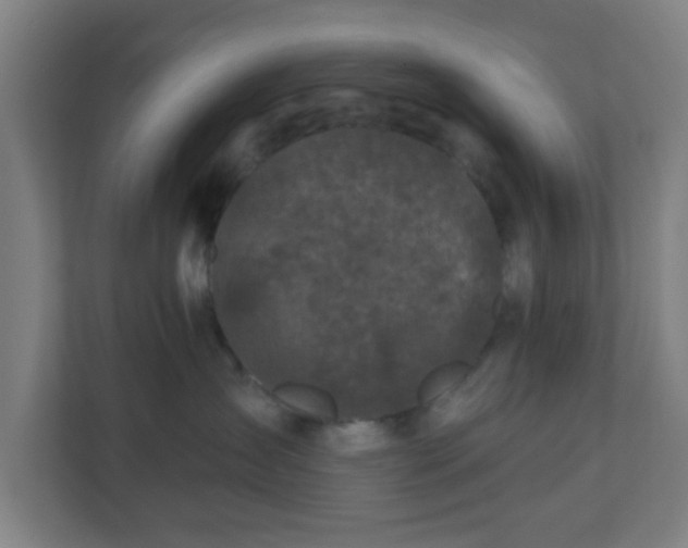 X0000110880431200906251252