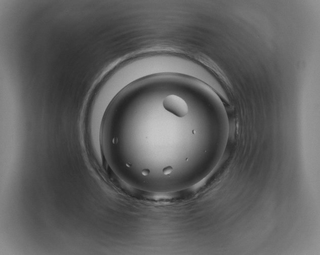 X0000110880436200906251252