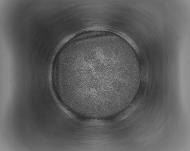 X0000110880437200906251252