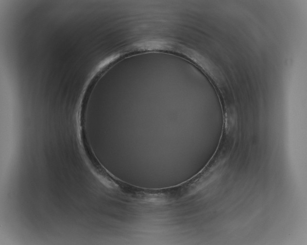 X0000110880438200906251252