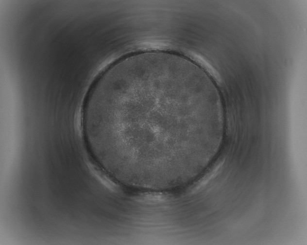 X0000110880439200906251252