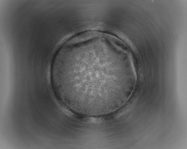 X0000110880442200906251252