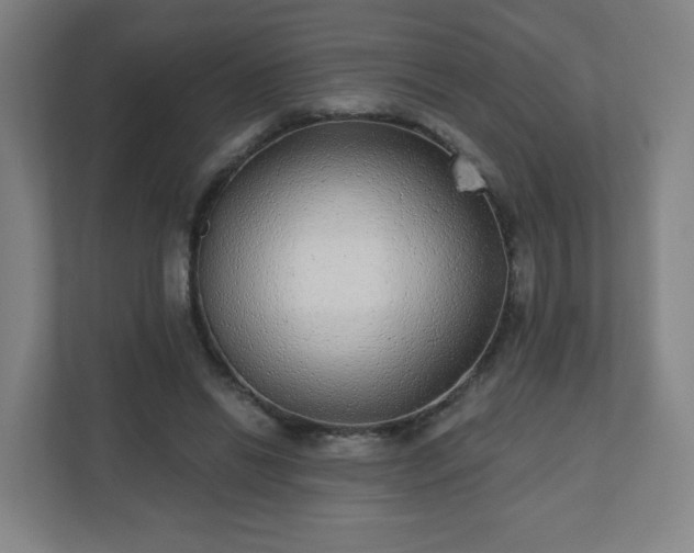 X0000110880446200906251252