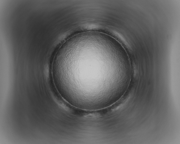 X0000110880447200906251252