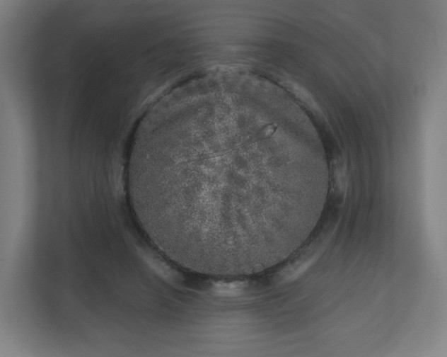 X0000110880450200906251252