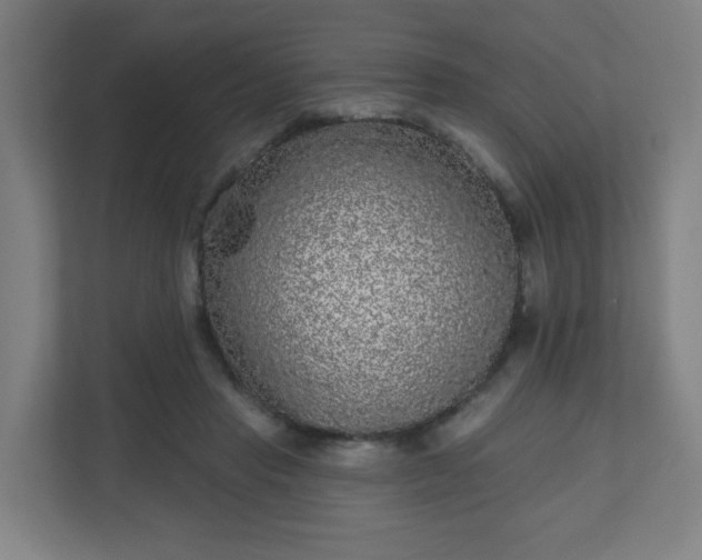X0000110880453200906251252