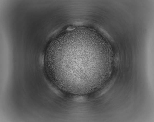 X0000110880454200906251252