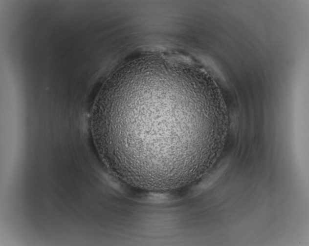 X0000110880457200906251252