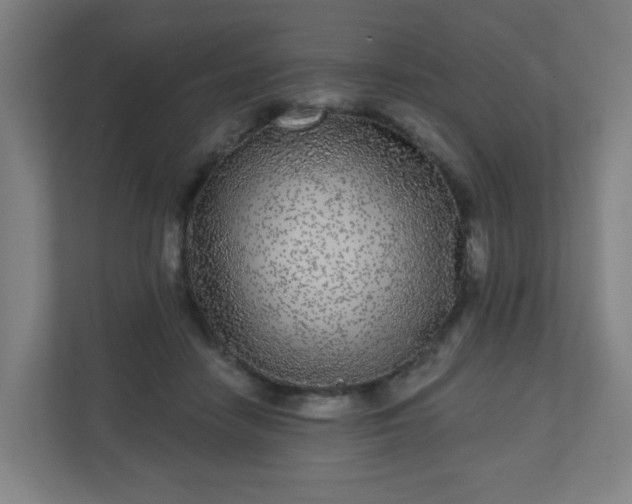 X0000110880458200906251252