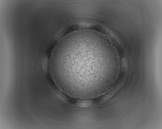 X0000110880463200906251252