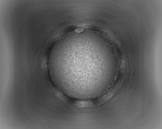 X0000110880466200906251252