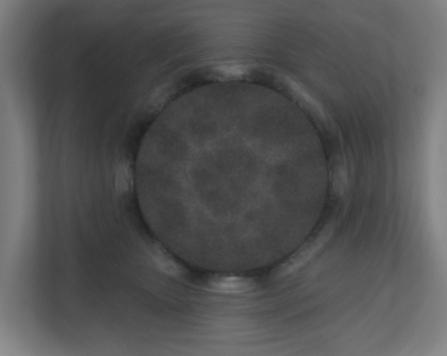 X0000110880467200906251252