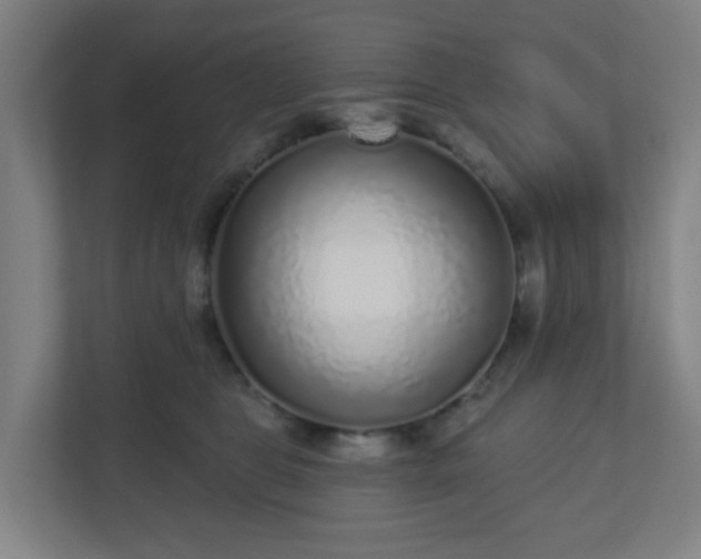 X0000110880469200906251252
