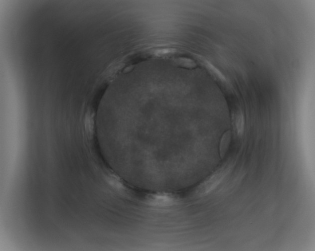 X0000110880475200906251252