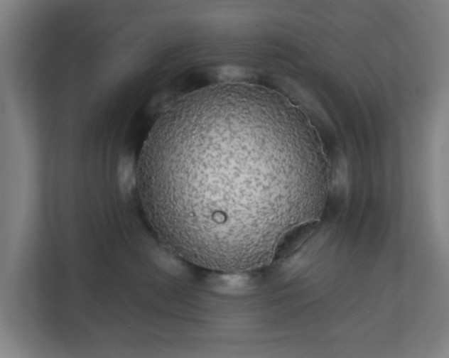 X0000110880478200906251252