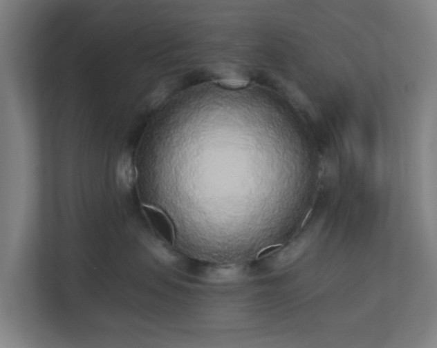 X0000110880479200906251252