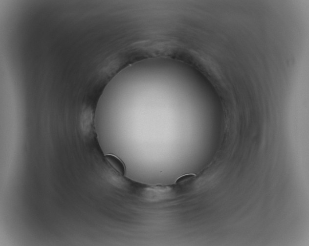 X0000110880480200906251252