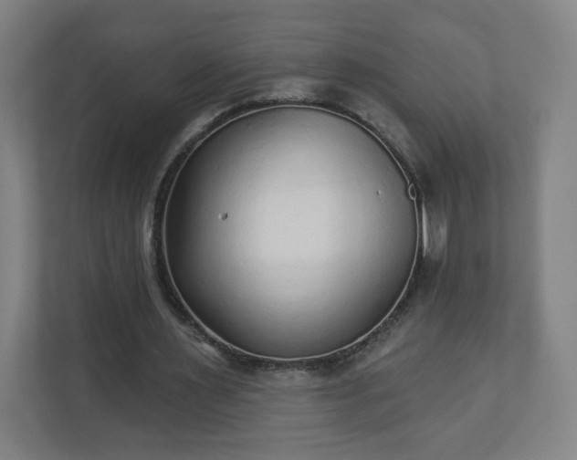 X0000110880483200906251252