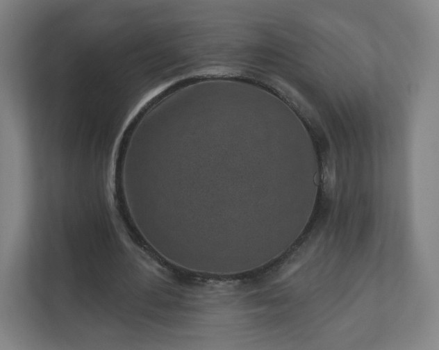X0000110880484200906251252