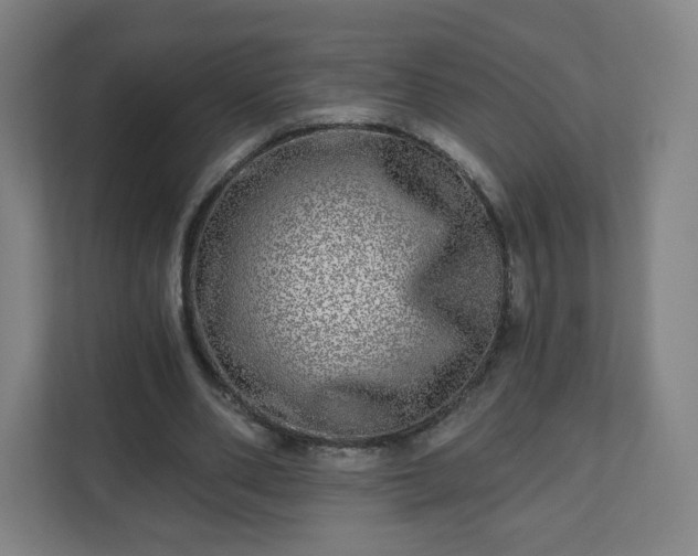 X0000110880486200906251252