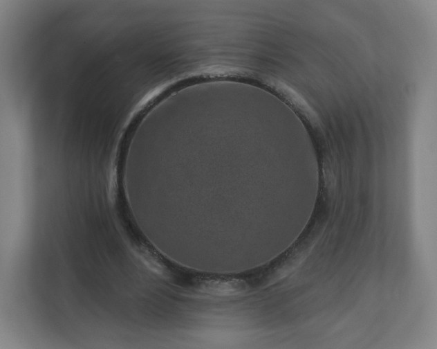 X0000110880488200906251252