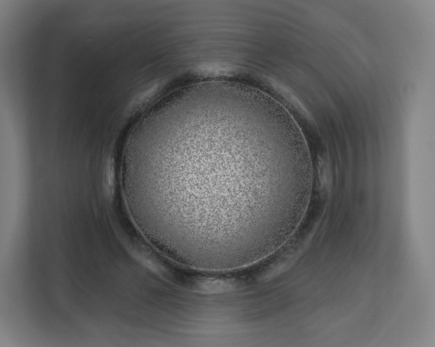 X0000110880494200906251251
