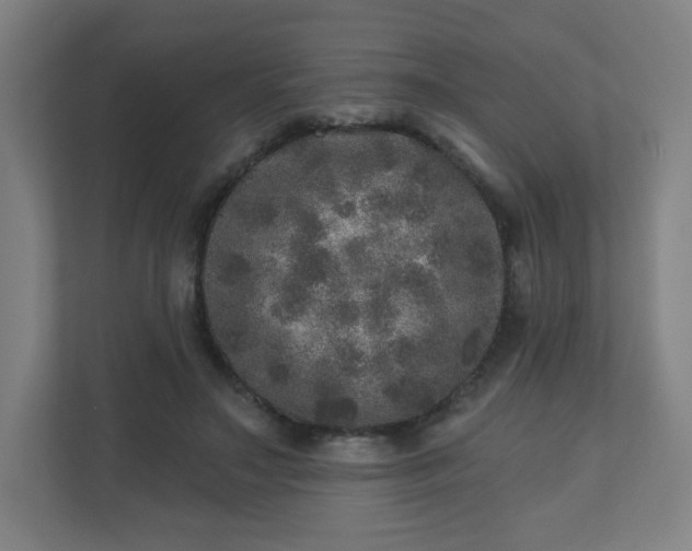 X0000110880499200906251251