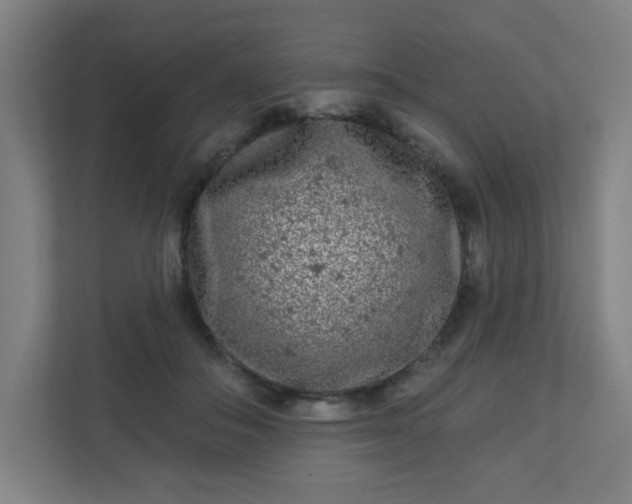 X0000110880506200906251251