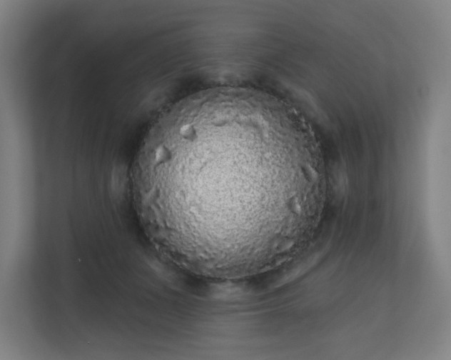 X0000110880511200906251251