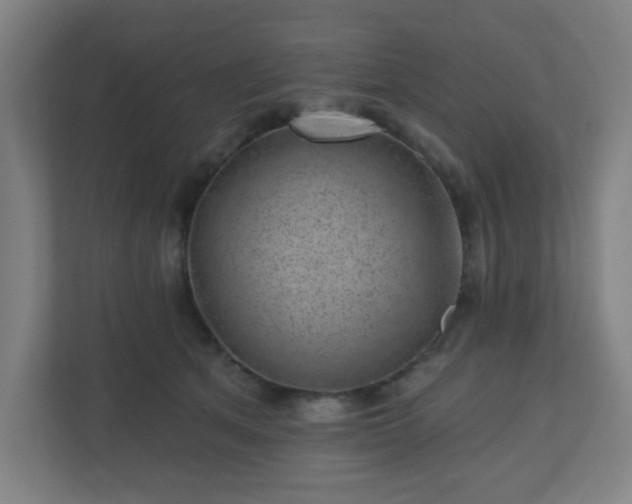 X0000110880513200906251251