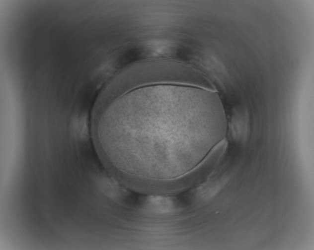 X0000110880520200906251251